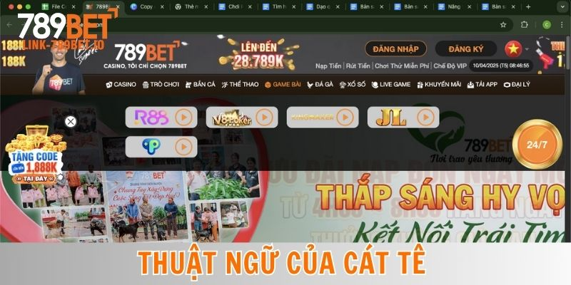 Cách Chơi Cát Tê